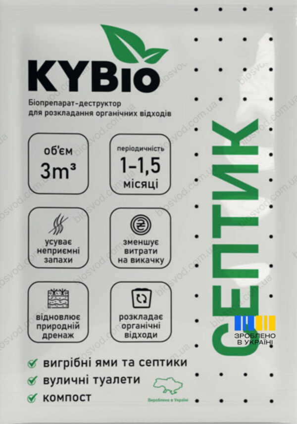 Бактерії